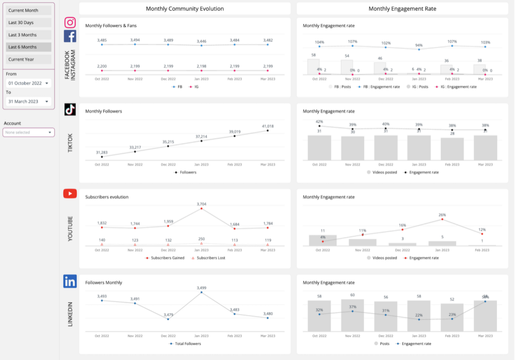 social media overview template